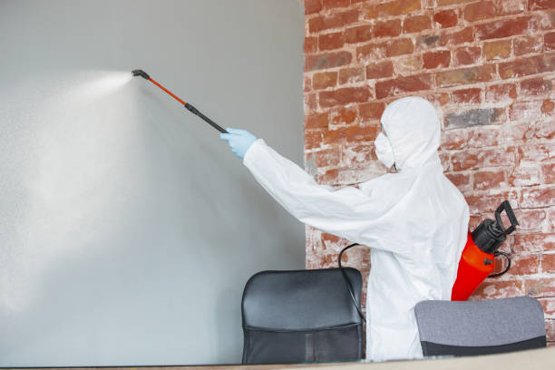 Best Real Estate Mold Inspection  in Fairmount, IN