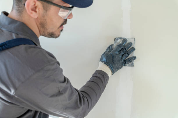Best Asbestos and Lead Testing During Mold Inspection  in Fairmount, IN