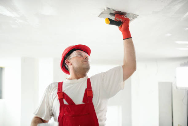 Best Basement Mold Removal  in Fairmount, IN