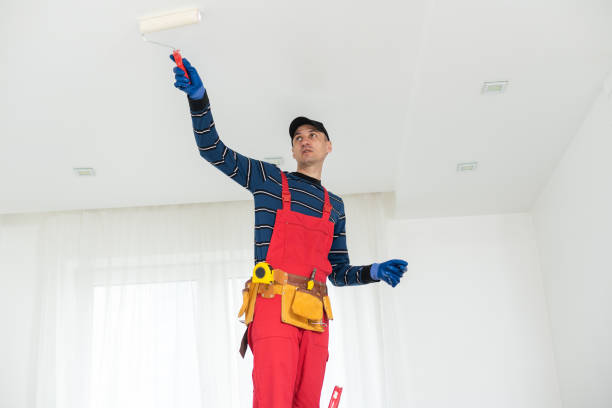 Best Water Damage & Mold Remediation  in Fairmount, IN