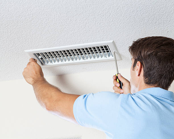 Best Mold Damage Restoration  in Fairmount, IN